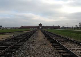 Sightseeing trip to Auschwitz